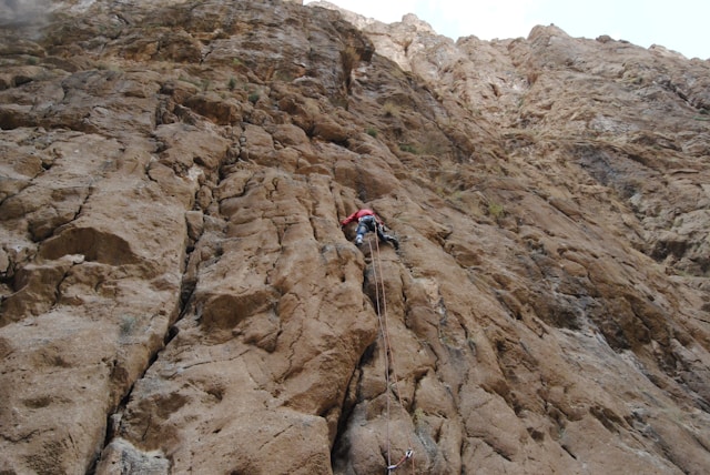 Aktív Szolgáltatások